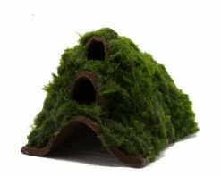 Shrimp Mountain - Shire - With Aegagropila