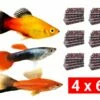 Frozen Food Bundle For Livebearers - 24 Pcs.