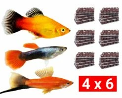 Frozen Food Bundle For Livebearers - 24 Pcs.