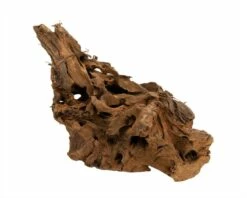 Mangrove Root Jumbo & Medium -Aquarienbedarf Verkaufsladen mangrove xl DSC025426KvLXeVdEDRnX 1280x1280