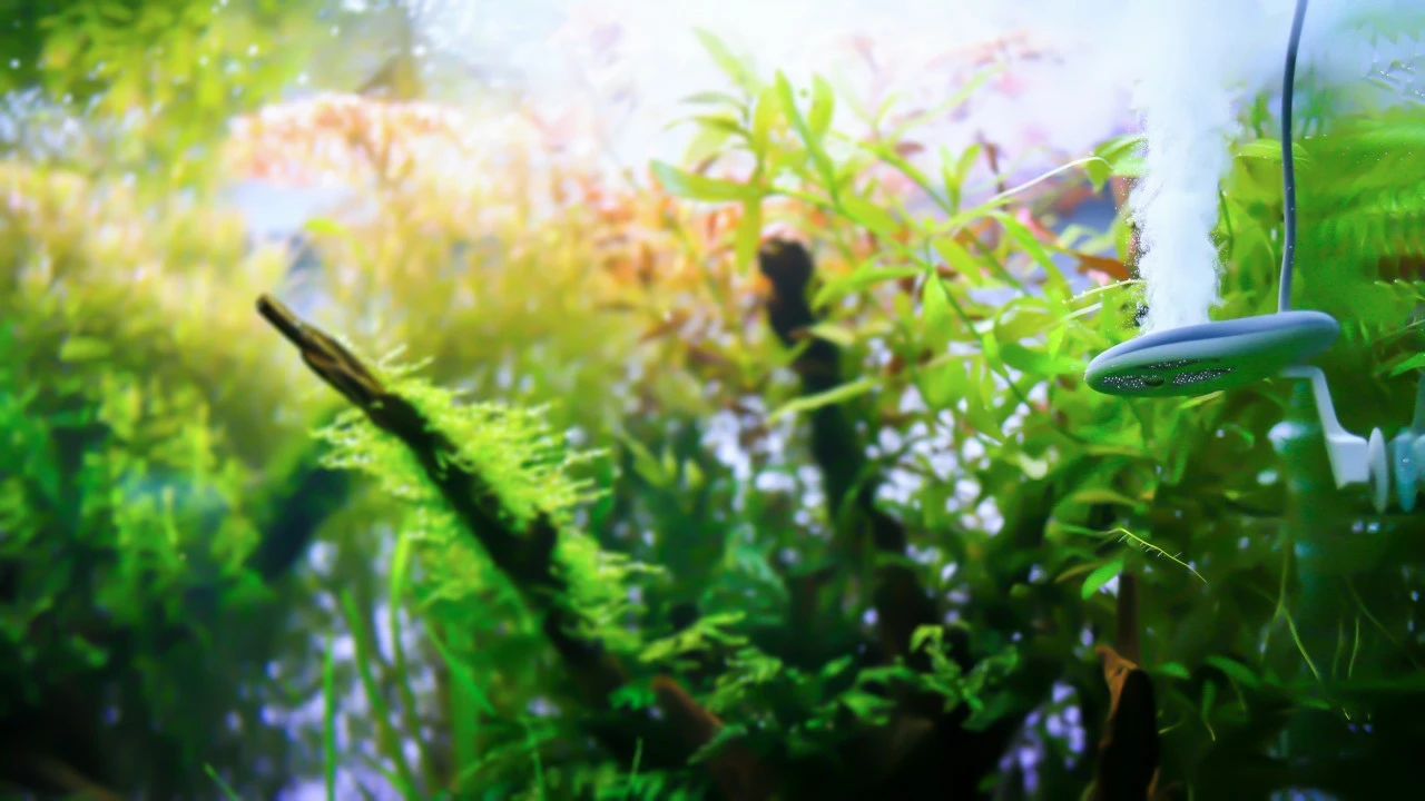 TWINSTAR - Nano 3 TWINSTAR - Nano – Bild 3