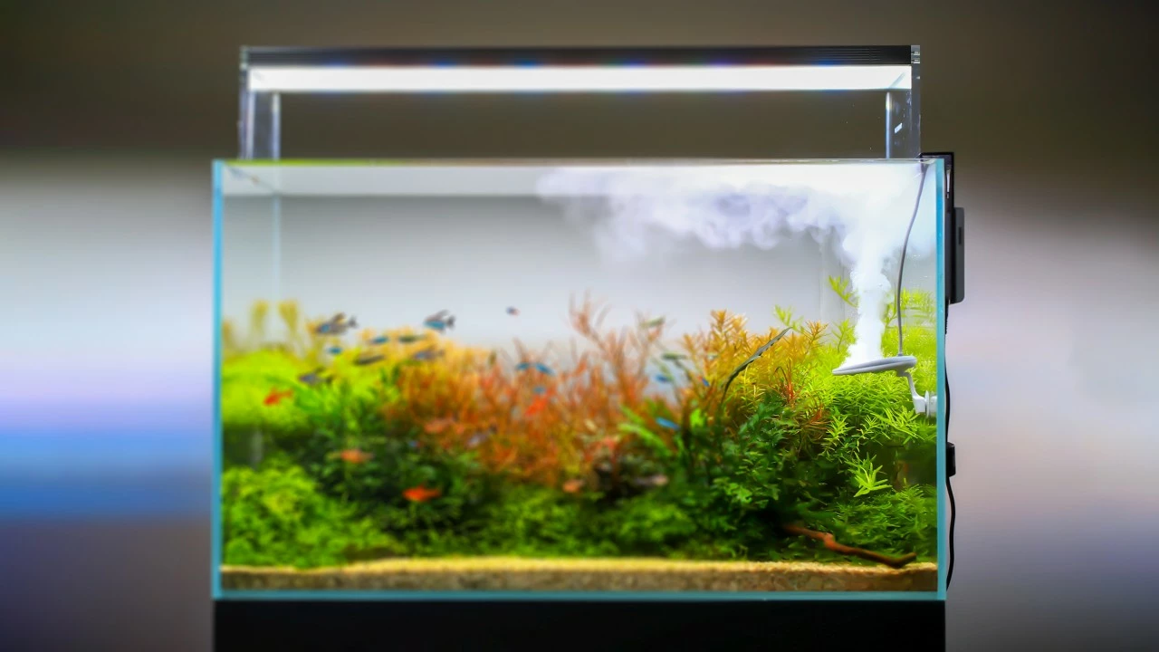 TWINSTAR - Nano 4 TWINSTAR - Nano – Bild 4