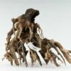 Octopus Wood For Aquascapes