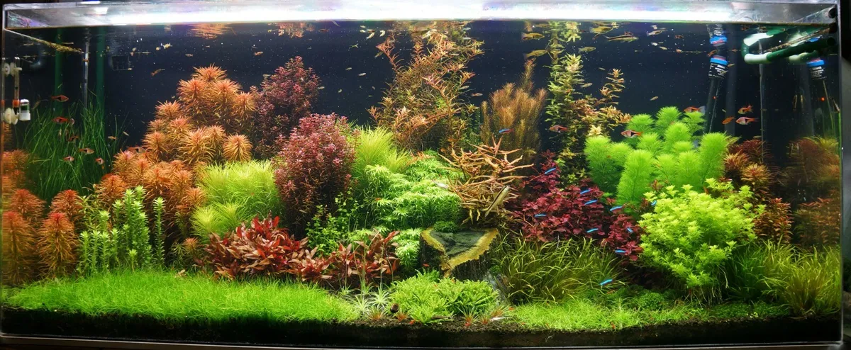 Aquarienbedarf Verkaufsladen -Aquarienbedarf Verkaufsladen s l1200