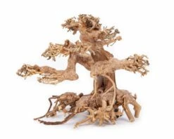 Aqua Bonsai - Aquarium Decoration