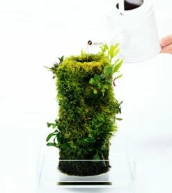 DOOA - Terra Base -Aquarienbedarf Verkaufsladen s3UUiBfGEHTXsPa 1280x1280