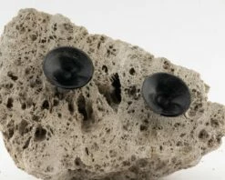 Wall Stone - Vers. Sizes -Aquarienbedarf Verkaufsladen wandstein3CWWbGUcuyOUws 1280x1280