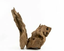 Mammoth Root
