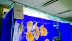 TWINSTAR - Yotta -Aquarienbedarf Verkaufsladen yotta 01Rr17pJSNHIKwB 1280x1280